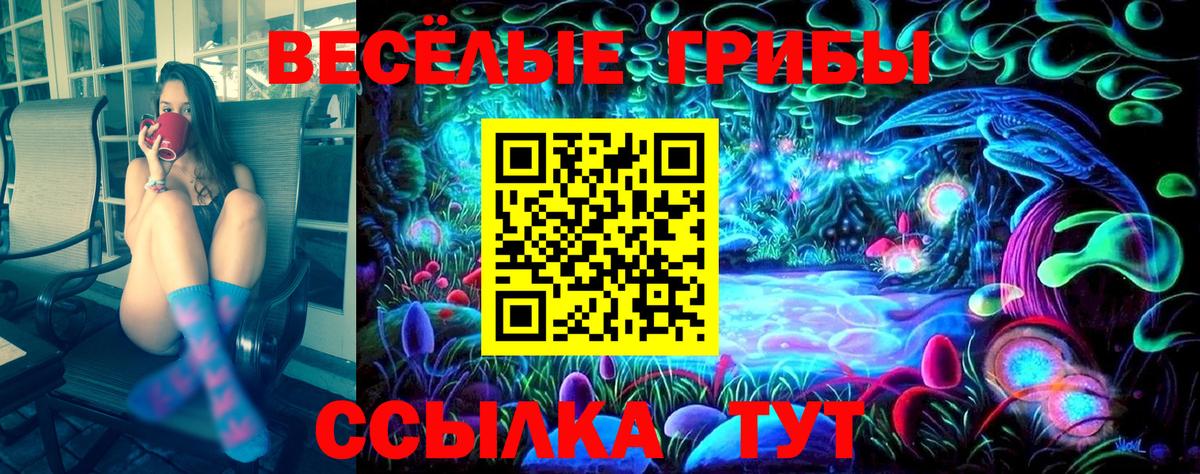 Губкин  Галлюциногенные грибы мухоморы  Вход с VPN 